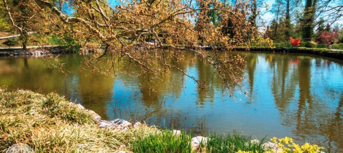 SLOVENIA  “Lubiana, navigazione sulla  Ljubljanica e l’Arboretum di Volci Potok” – GRUPPI 2023